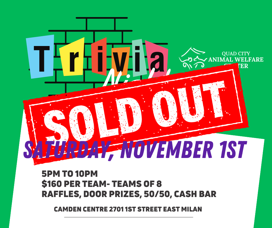 Trivia night facebook 3